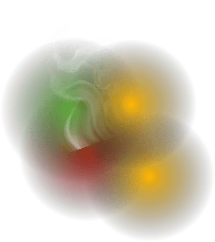 Zupa błyskawiczna o smaku kurczaka z sosem «Salsa»