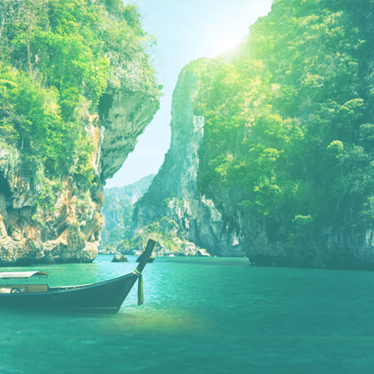 Zupa z makaronem ryżowym «PHO GA»