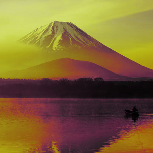 Glads WOK z sosem o smaku «Soba»