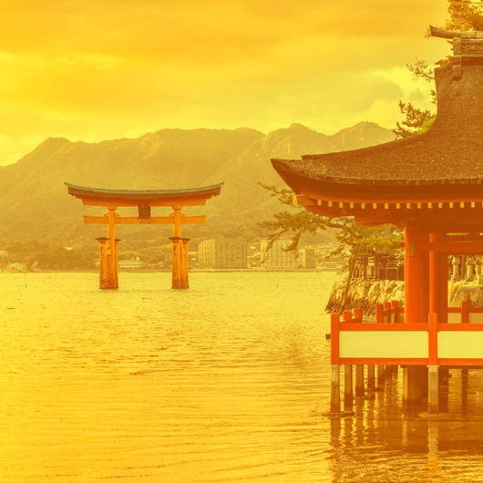 Glads WOK z sosem «Chicken Teriyaki»